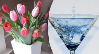 Він є вдома у всіх: інгредієнт, який продовжить життя квітів на День святого Валентина