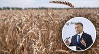 Сільгосппродукцію з України не можна пускати в Європу: божевільна заява Орбана