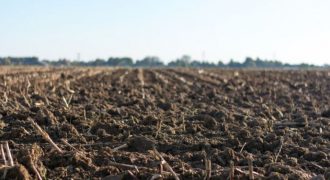 Аграрии ожидают принятия законопроекта об электронных аграрных расписках