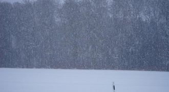 Снег с дождем и мороз: в Украине ухудшается погода