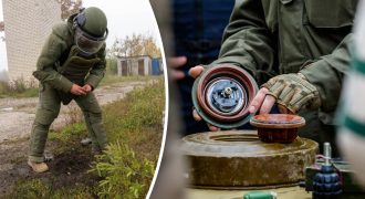 В Украину хотят привлечь иностранцев для разминирования: что придумали в Кабмине