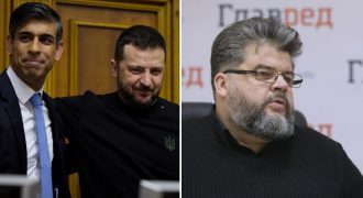Дипломат объяснил суть документа о безопасности, который подписали Зеленский и Сунак