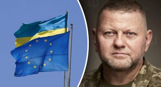 Появилась реакция ЕС на отставку Залужного