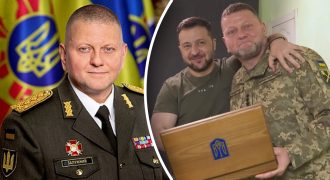 Стратегические разногласия: почему Зеленский заменил Залужного