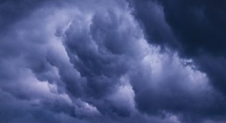 В Украину врывается весенняя погода: где потеплеет до +14