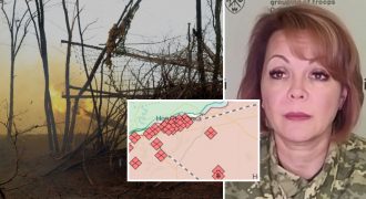Сезон "мясных штурмов": Гуменюк рассказала о ситуации на левом берегу Днепра