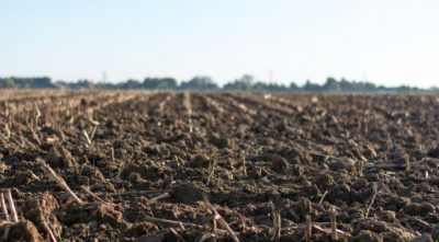 Аграрії очікують прийняття законопроєкту