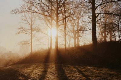 Будуть рекордно високі температури: синоптик розповів про стрімке потепління