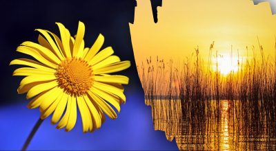 Коли у 2024 році весняне рівнодення Коли у 2024 році весняне рівнодення