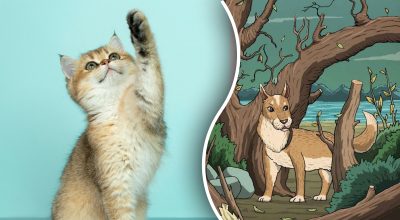 Увидеть спрятанного кота за 7 секунд смогут лишь единицы: самая сложная оптическая иллюзия