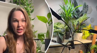 Головні помилки у вирощуванні кімнатних рослин Головні помилки у вирощуванні кімнатних рослин