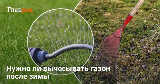 Нужно ли вычесывать газон после зимы: советы для красивого газона - Главред