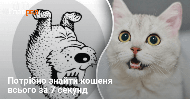 Знайти кошеня за 7 секунд зможе тільки геній - складна загадка для ...