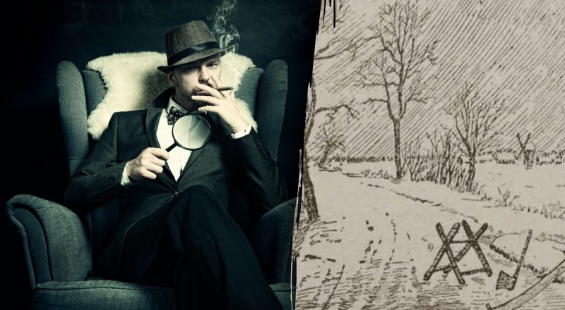 Даже Шерлок Холмс задумался бы: нужно за 6 секунд найти лесоруба в мрачном лесу