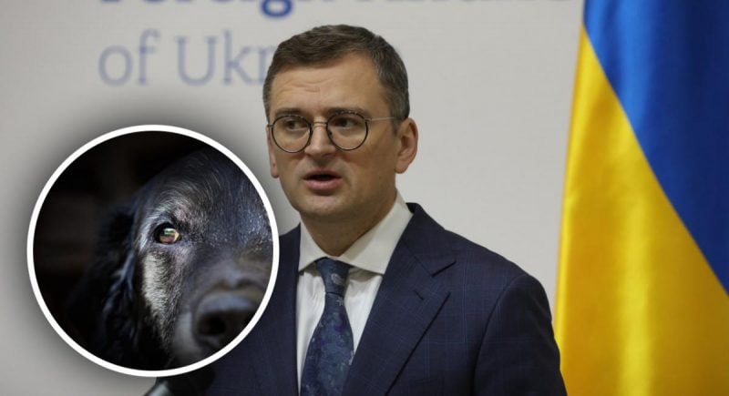 На Дмитрия Кулебу напало зубастое "создание": что произошло