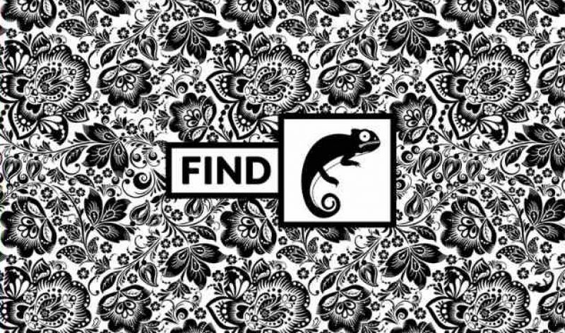 Только единицы смогут найти хамелеона: загадка, которую надо разгадать за 7 секунд