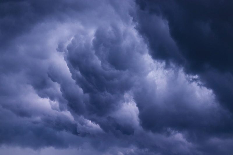 В Украину врывается весенняя погода: где потеплеет до +14