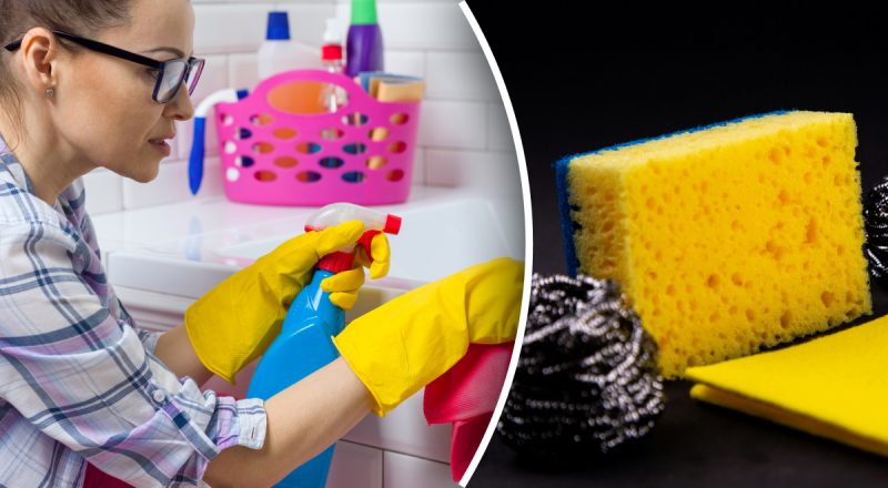 Даже унитаз чище: в каком месте квартиры больше всего микробов