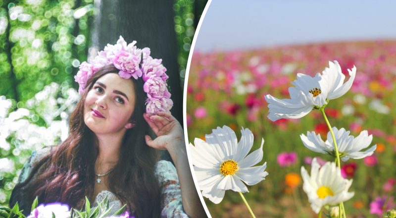 С первым днем весны - красивые картинки и поздравления