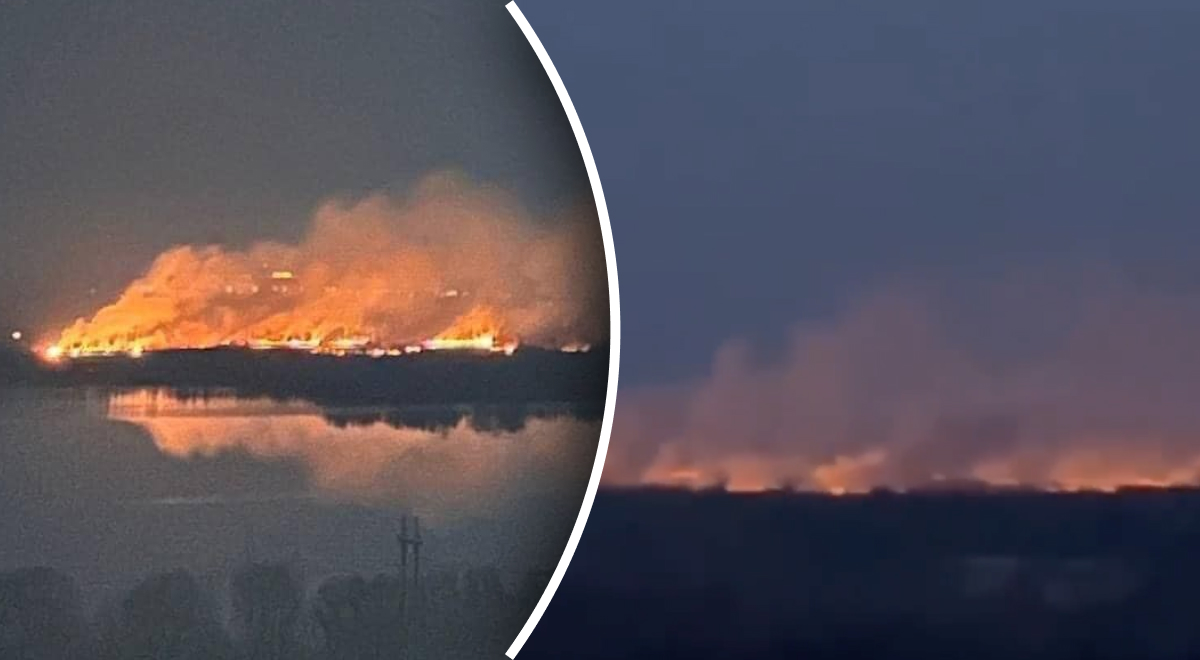 В Киеве масштабный пожар в экопарке "Осокорки": подозревают поджог застройщика