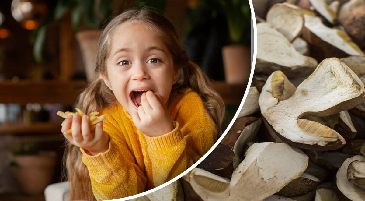 Почему детям нельзя давать есть грибы: важные факты о детском питании