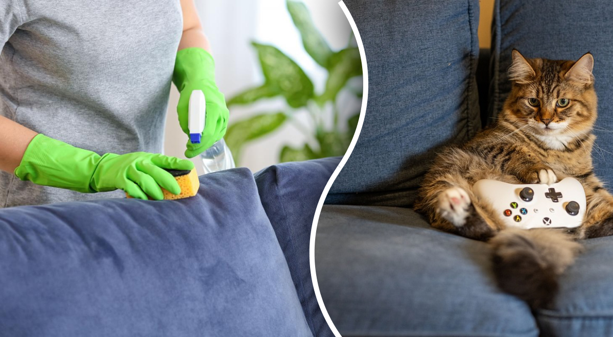 Как отчистить диван с тканевой обивкой: пятна мгновенно исчезнут