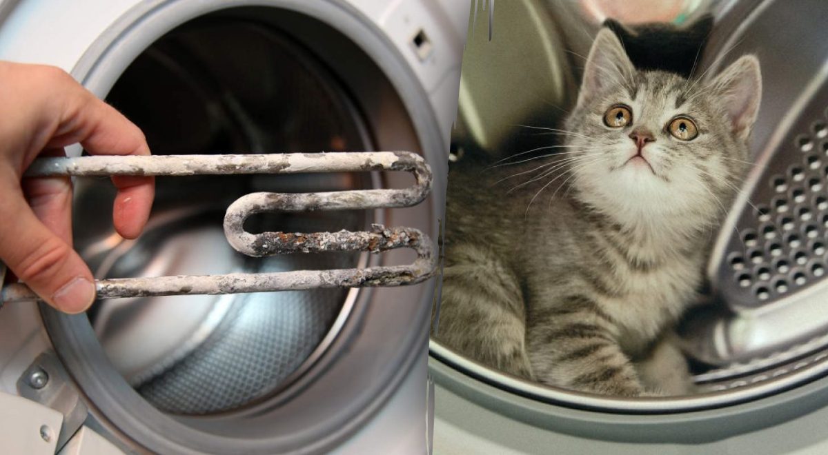 Как почистить стиральную машину в домашних условиях — centerforstrategy.ru