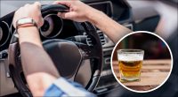 Чи можна пити безалкогольне пиво за кермом в Україні: що потрібно знати водіям