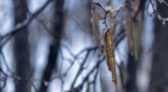 В Украину идет потепление: где ворвется почти +20 градусов
