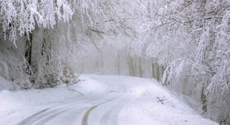 В Украину возвращается зима: во многих областях будет снег