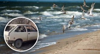 В захваченном Бердянске подорвали машину с организаторкой "выборов" Путина