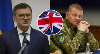 "Душа лежит к дипломатии": Кулеба раскрыл детали назначения Залужного послом