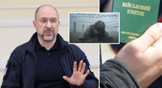 Мобилизовать 500 тысяч в ВСУ человек нет необходимости - Шмыгаль