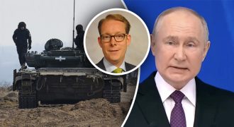 "Не все страны понимают, что действовать надо срочно": в МИД Швеции сказали, как остановить РФ