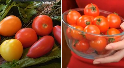 Точно не в холодильнику: експерт розповіла, де потрібно зберігати помідори Точно не в холодильнику: експерт розповіла, де потрібно зберігати помідори