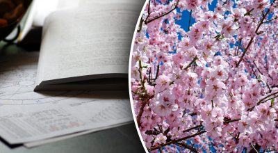 Гороскоп на неделю Гороскоп на неделю