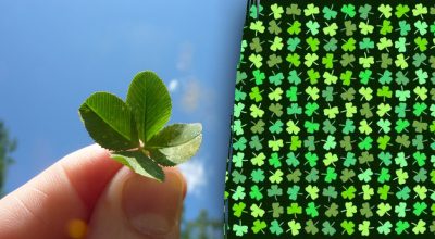 Головоломка на удачу: потрібно знайти чотирилисту конюшину за 11 секунд