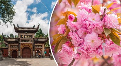 Китайский гороскоп на завтра Китайский гороскоп на завтра