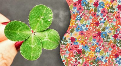 Не кожному під силу знайти конюшину серед квітів за 9 секунд: загадка на кмітливість