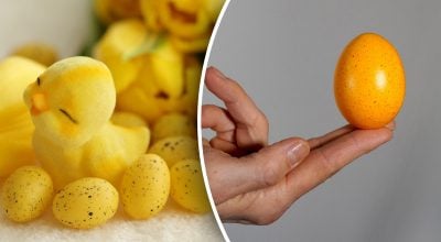 Як пофарбувати яйця в жовтий колір Як пофарбувати яйця в жовтий колір