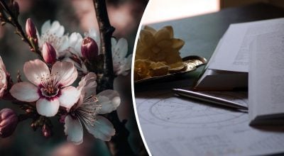 Гороскоп на неделю Гороскоп на неделю