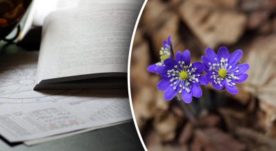 Гороскоп на апрель Гороскоп на апрель