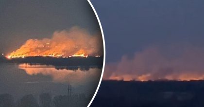 В Киеве масштабный пожар в экопарке "Осокорки": подозревают поджог застройщика