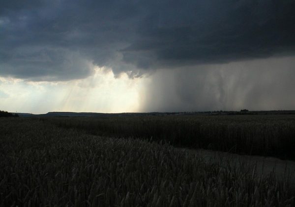 Украину будет заливать дождями: в двух областях объявили 3 уровень опасности
