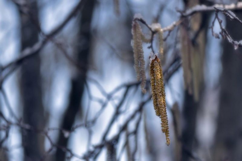 В Украину идет потепление: где ворвется почти +20 градусов