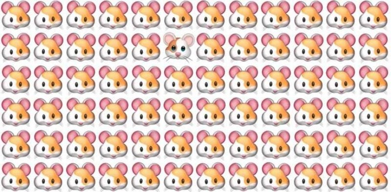 Головоломка для тех, у кого блестящее зрение: надо за 5 секунд найти мышку