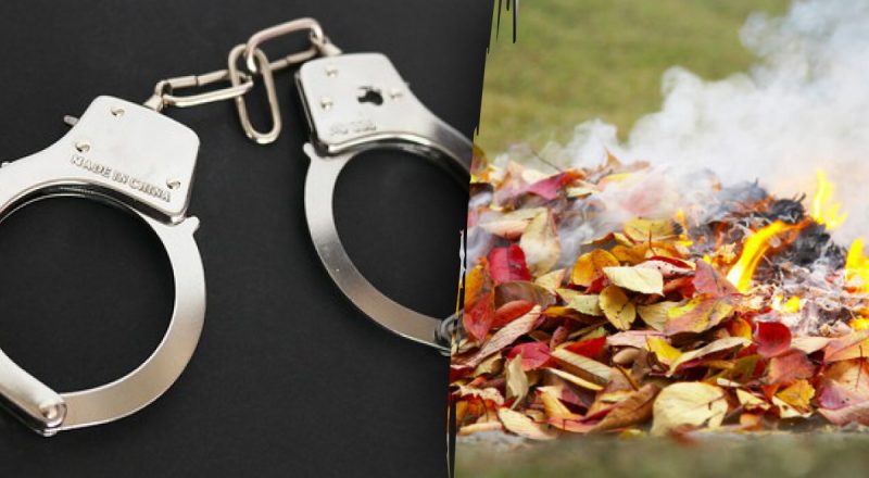 Почему нельзя сжигать опавшие листья: что гласит экология и закон