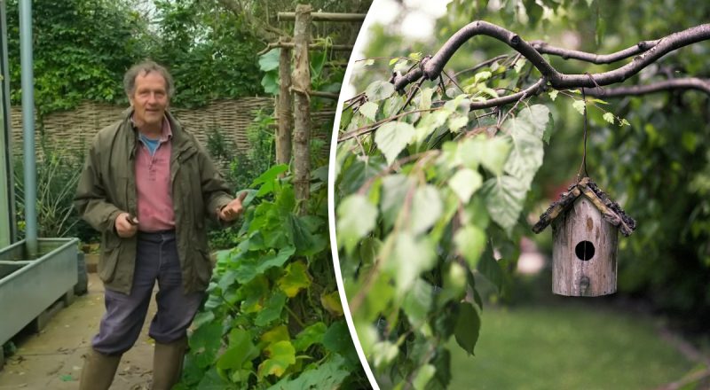 Березень - найкращий місяць: знаменитий садівник розповів, що посадити в саду