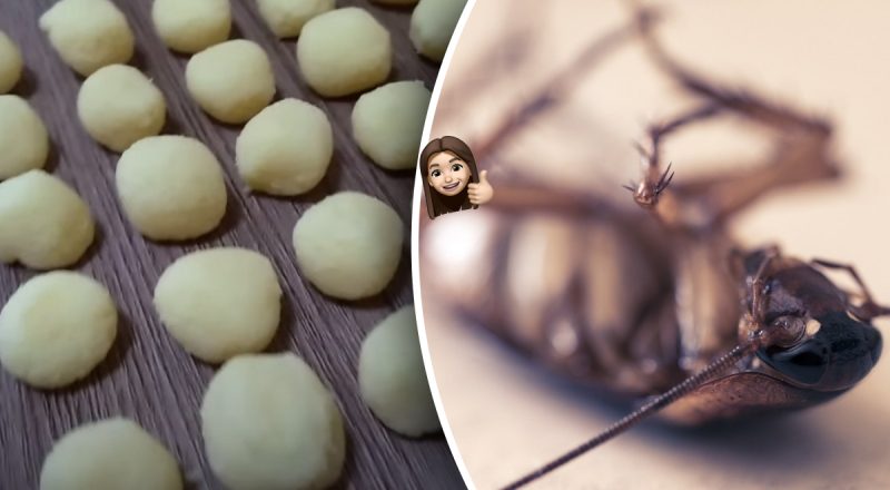 Ну убьют, так отпугнут: 2 вещи, которые ненавидят тараканы