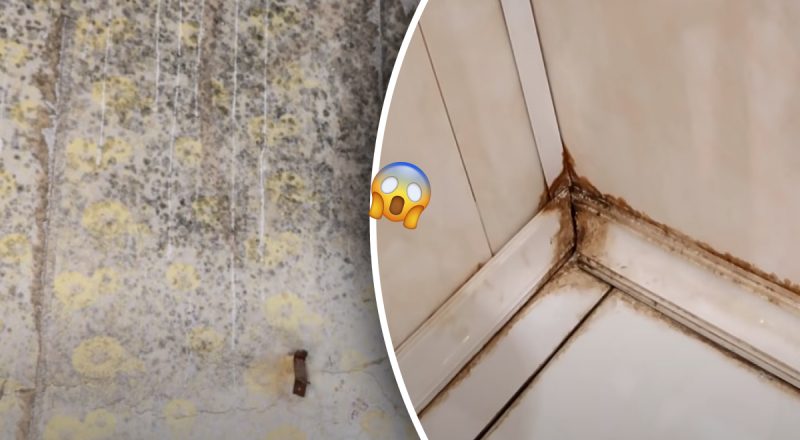 Ще й пахнути буде: як видалити цвіль у ванній за ніч